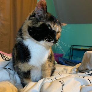 Meet your Posher, Coco